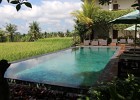 Zwembad Inata Bisma Resort Ubud
